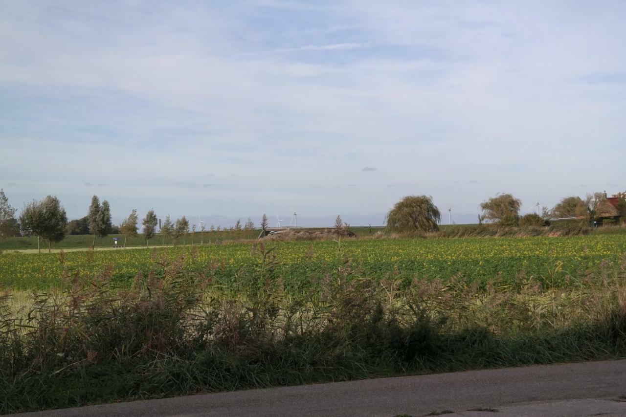 De Goede Verwachting Kamperland Exteriér fotografie